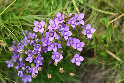 BUITEN BEELD Foto: 446232