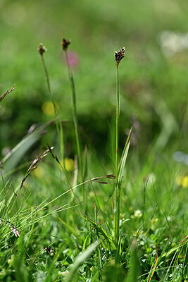 BUITEN BEELD Foto: 446236