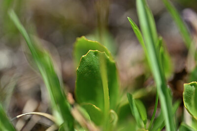 BUITEN BEELD Foto: 446253