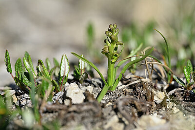 BUITEN BEELD Foto: 446256