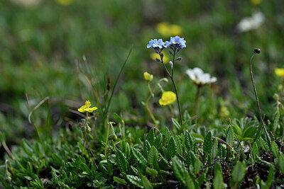 BUITEN BEELD Foto: 446267