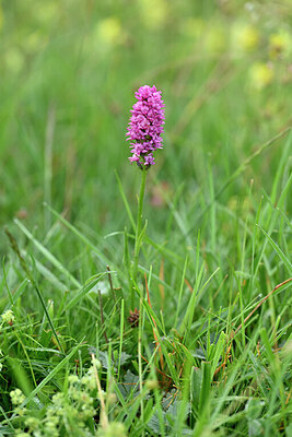 BUITEN BEELD Foto: 446274