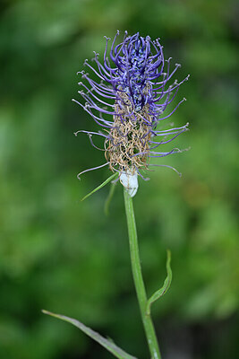BUITEN BEELD Foto: 446283