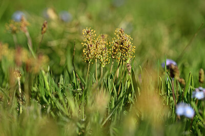 BUITEN BEELD Foto: 446292
