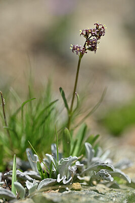BUITEN BEELD Foto: 446294