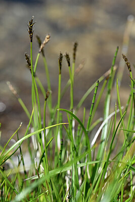 BUITEN BEELD Foto: 446304