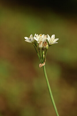 BUITEN BEELD Foto: 446306