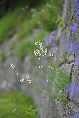 BUITEN BEELD Foto: 446309