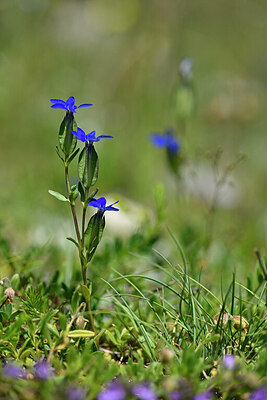 BUITEN BEELD Foto: 446320