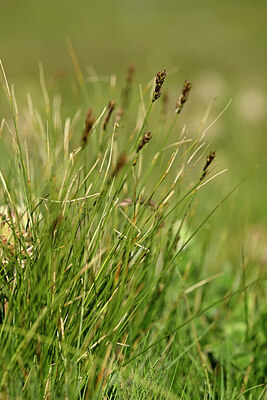 BUITEN BEELD Foto: 446323