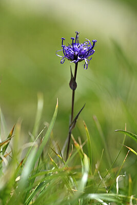 BUITEN BEELD Foto: 446336