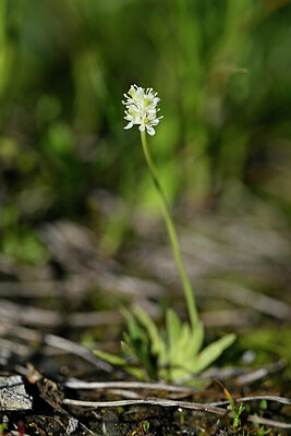 BUITEN BEELD Foto: 446342