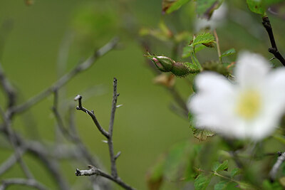 BUITEN BEELD Foto: 446345