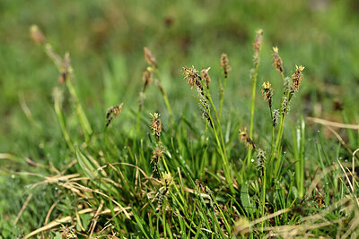BUITEN BEELD Foto: 446349