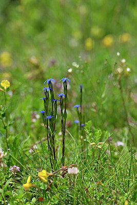 BUITEN BEELD Foto: 446360