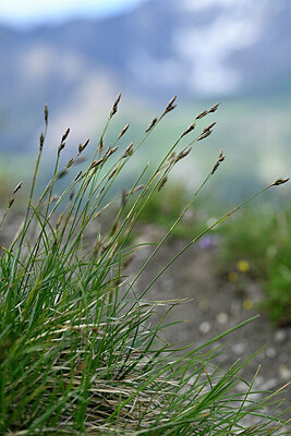 BUITEN BEELD Foto: 446361