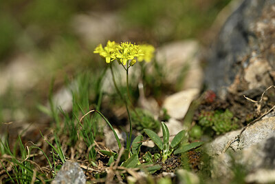 BUITEN BEELD Foto: 446374