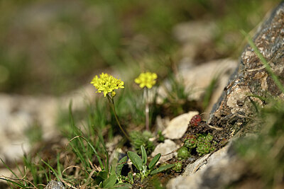 BUITEN BEELD Foto: 446380