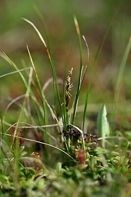 BUITEN BEELD Foto: 446381