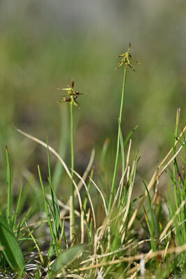 BUITEN BEELD Foto: 446386