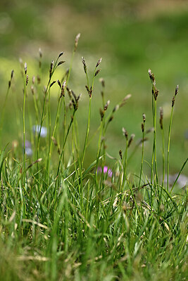 BUITEN BEELD Foto: 446392