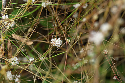 BUITEN BEELD Foto: 446393