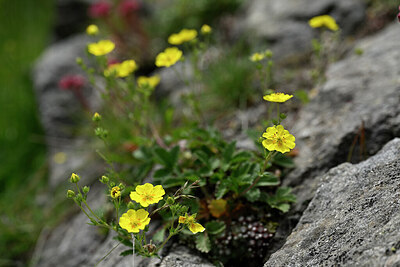 BUITEN BEELD Foto: 446400