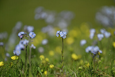 BUITEN BEELD Foto: 446415