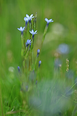 BUITEN BEELD Foto: 446418