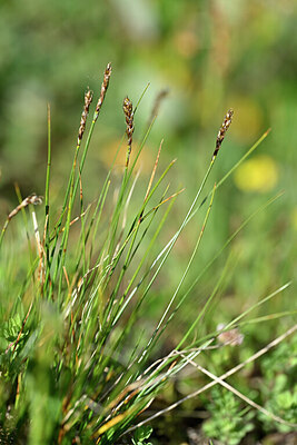 BUITEN BEELD Foto: 446420