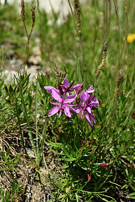 BUITEN BEELD Foto: 446424