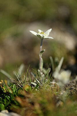 BUITEN BEELD Foto: 446427
