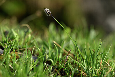 BUITEN BEELD Foto: 446430