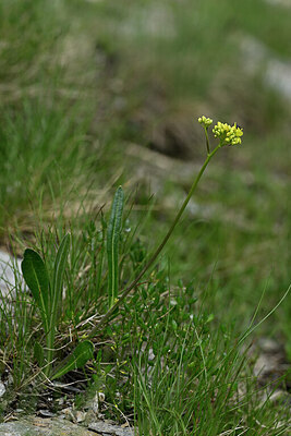 BUITEN BEELD Foto: 446433