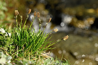 BUITEN BEELD Foto: 446439