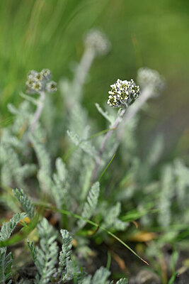 BUITEN BEELD Foto: 446450