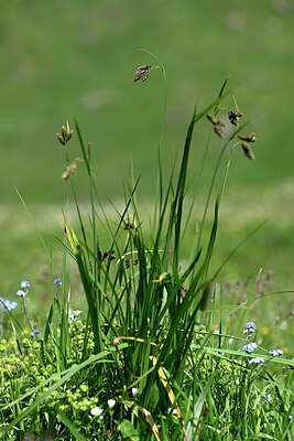 BUITEN BEELD Foto: 446454