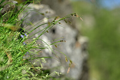 BUITEN BEELD Foto: 446468