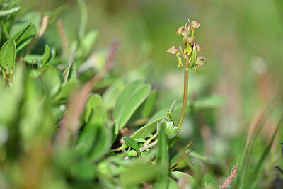 BUITEN BEELD Foto: 446475