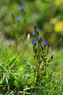 BUITEN BEELD Foto: 446487
