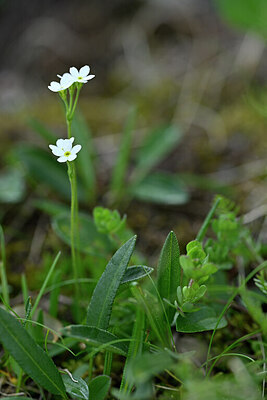 BUITEN BEELD Foto: 446493