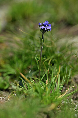 BUITEN BEELD Foto: 446495