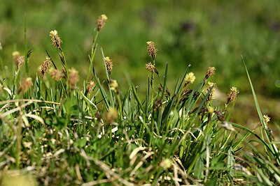 BUITEN BEELD Foto: 446497