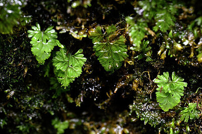 BUITEN BEELD Foto: 446499