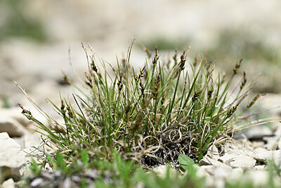 BUITEN BEELD Foto: 446501