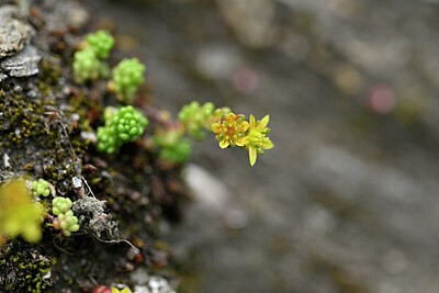 BUITEN BEELD Foto: 446503
