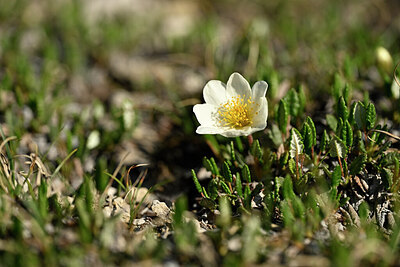 BUITEN BEELD Foto: 446511