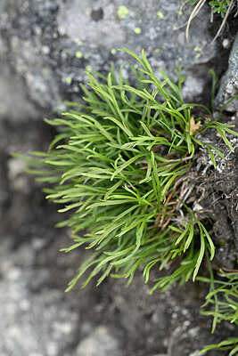 BUITEN BEELD Foto: 446515