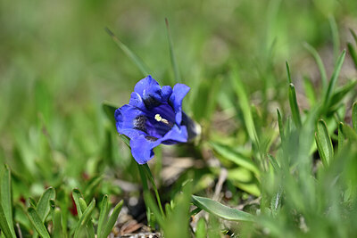 BUITEN BEELD Foto: 446518