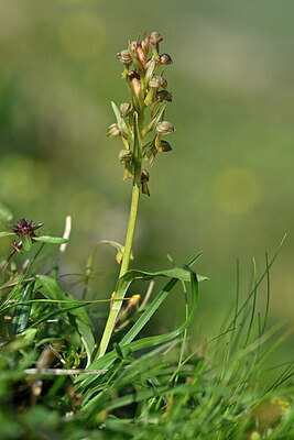BUITEN BEELD Foto: 446525